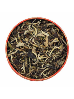 MOONLIGHT "CLAIRE DE LUNE" BIO