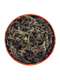 PU ERH  VERT SAUVAGE GRANDES FEUILLES