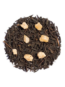 ABRICOT DE TOSCANE - LESTHESVOYAGEURS