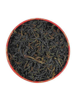 CEYLAN IDULGASHENA OP VERT BIO