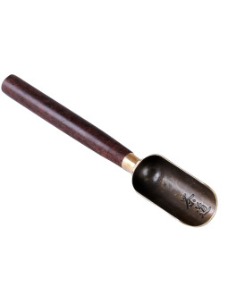 SA250 LESTHESVOYAGEURS