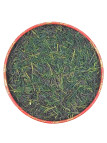 SENCHA MIYAZAKI ME CHA BIO  -LESTHESVOYAGEURS