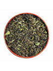 DARJEELING GIELLE 2025 1ST FLUSH - FTGFOP1DJ1