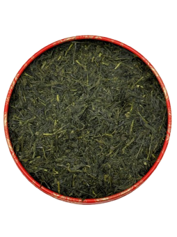 SENCHA MYAMA