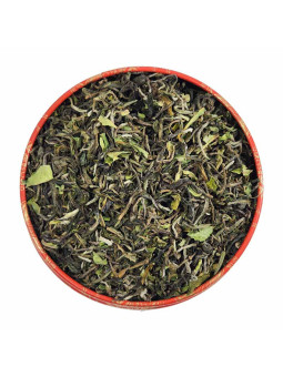 DARJEELING GIELLE 2025 1ST FLUSH - FTGFOP1DJ1