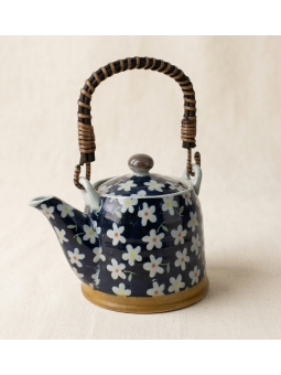 THÉIÈRE JAPONAISE MINOYAKI 0.35L - MIZUTAMA KOBANA - La Route du Thé Versailles