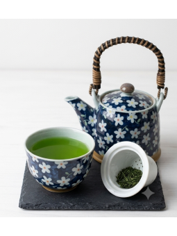 THÉIÈRE JAPONAISE MINOYAKI 0.35L - MIZUTAMA KOBANA - La Route du Thé Versailles