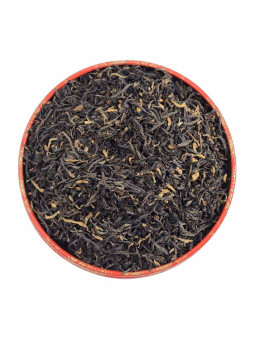 MOKALBARI T.G.F.O.P.