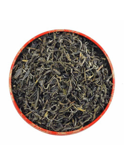 THE VERT BIO VIETNAM