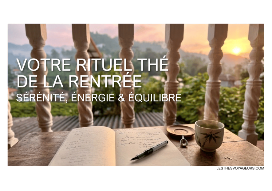 Thés et infusions pour la rentrée : le guide bien-être