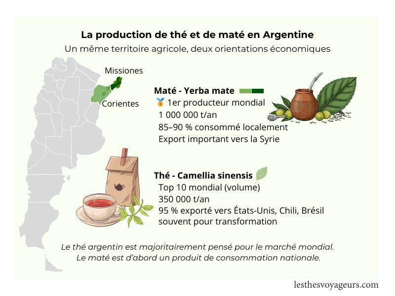 Carte production thé et maté Argentine